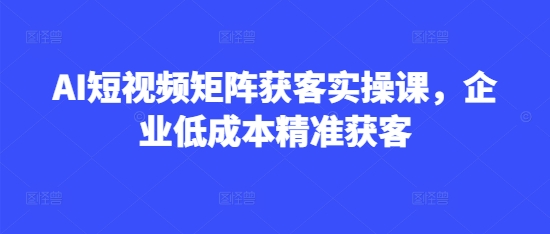 AI短视频矩阵获客实操课，企业低成本精准获客-网创社