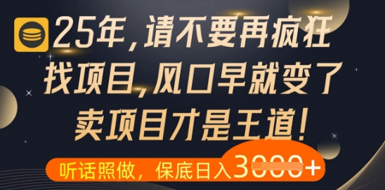什么？25年你还在疯狂找项目做，醒醒吧，看完这些你全都懂了【揭秘】-网创社