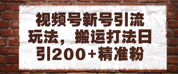 视频号新号引流玩法，搬运打法日引200+精准粉，可矩阵放大【揭秘】-网创社