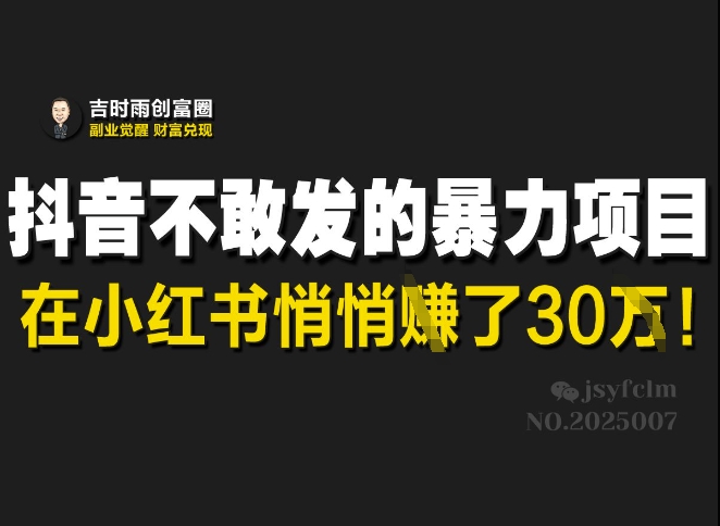 抖音不敢发的暴利项目，在小红书悄悄挣了30W-网创社