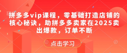 拼多多vip课程，零基础打造店铺的核心秘诀，助拼多多卖家在2025卖出爆款，订单不断-网创社