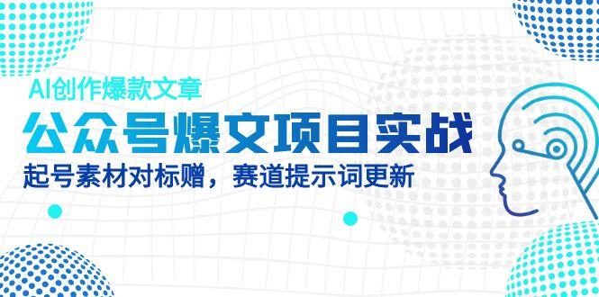 公众号爆文项目实战，AI创作爆款文章，起号素材对标赠(附赛道AI提示词-网创社