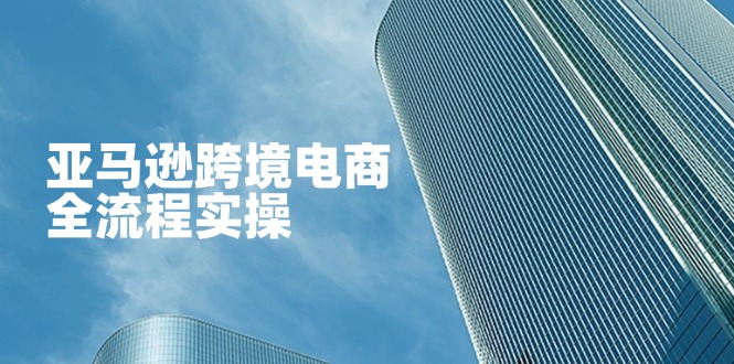 亚马逊跨境电商全流程实操，教你从零开始，掌握店铺运营与广告技巧-网创社