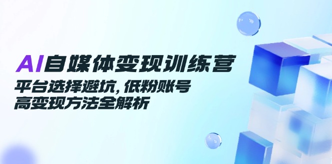 AI自媒体变现训练营，平台选择避坑，低粉账号高变现方法全解析-网创社