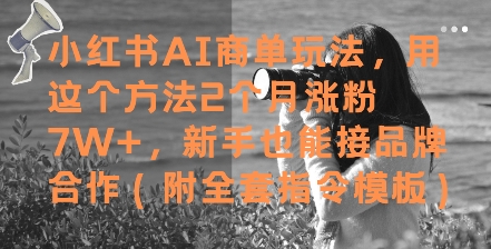 小红书AI商单玩法，用这个方法2个月涨粉7W+，新手也能接品牌合作(附全套指令模板)-网创社