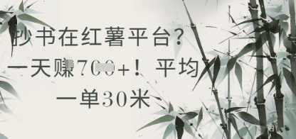 抄书在小红薯平台？平均一单30米，一天收益几张！-网创社