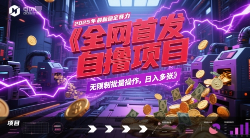 全网首发，2025年最新稳定暴力全自动自撸项目，无限制批量操作，日入多张【揭秘】-网创社