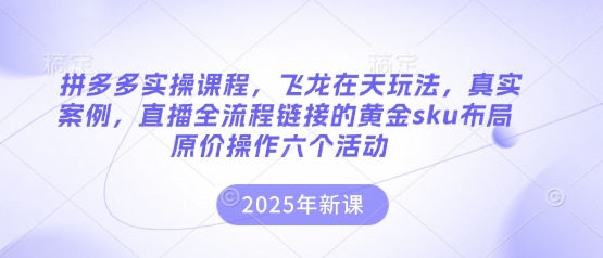 拼多多实操课程，飞龙在天玩法，真实案例，直播全流程链接的黄金sku布局原价操作六个活动-网创社