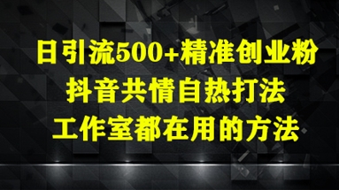 日引流500+精准创业粉，抖音共情自热打法，工作室都在用的方法-网创社