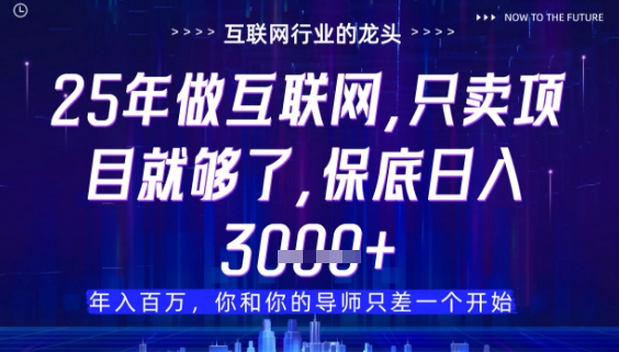 什么！25年你还在找项目做？风口早就变了，卖项目才是稳挣不赔【揭秘】-网创社