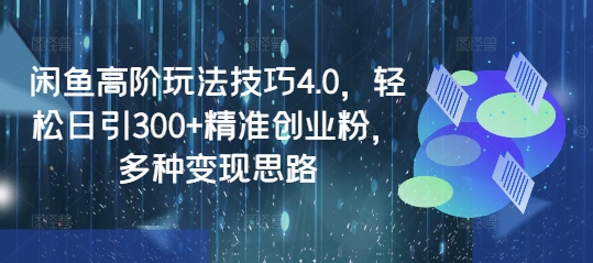 闲鱼高阶玩法技巧4.0，轻松日引300+精准创业粉，多种变现思路-网创社