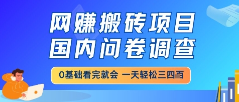 网创搬砖项目，国内问卷调查，小白轻松上手，一天三四张的也不难，干就完了【揭秘】-网创社