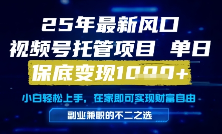 25年最新风口，视频号托管项目，单日保底变现1k+，手把手教学【揭秘】-网创社