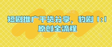 短剧推广干货分享，豹剧 1:1原创全流程-网创社