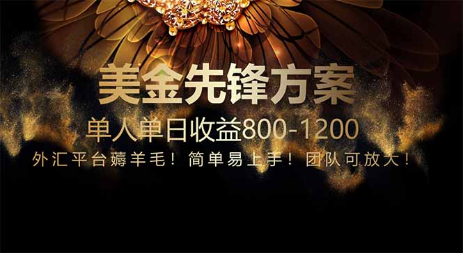 免费技术！小众赛道！一年布局抵三年努力，每日800+-网创社