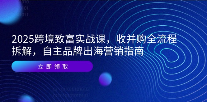 2025跨境致富实战课，收并购全流程拆解，自主品牌出海营销指南-网创社