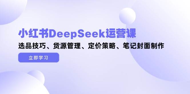 小红书DeepSeek运营课，选品技巧、货源管理、定价策略、笔记封面制作-网创社