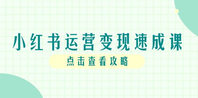 小红书运营变现速成课，账号搭建到暴力起号，个人IP全流程指南-网创社