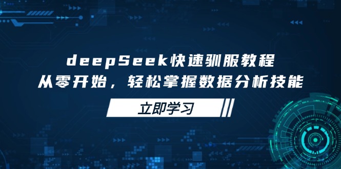 deepSeek快速驯服教程，从零开始，轻松掌握数据分析技能-网创社