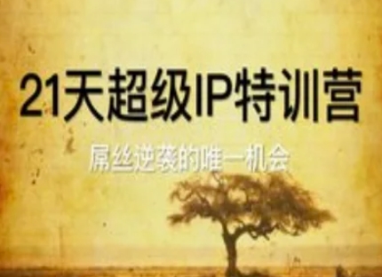 21天超级IP特训营，屌丝逆袭的唯一机会-网创社