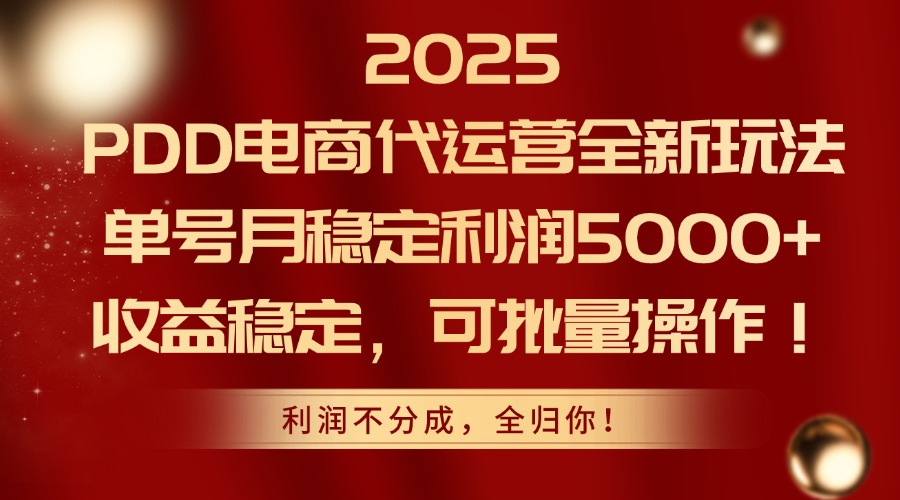 2025PDD电商代运营全新玩法，单号月稳定利润5000+，收益稳定，可批量操作-网创社