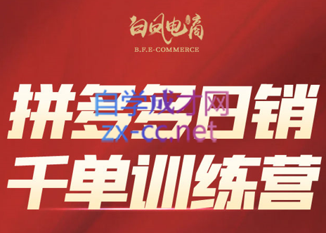 白凤电商·拼多多日销千单训练营(更新5月)-网创社