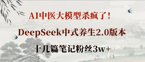 AI中医大模型杀疯了！DeepSeek中式养生2.0版本，十几篇笔记粉丝3w+-网创社