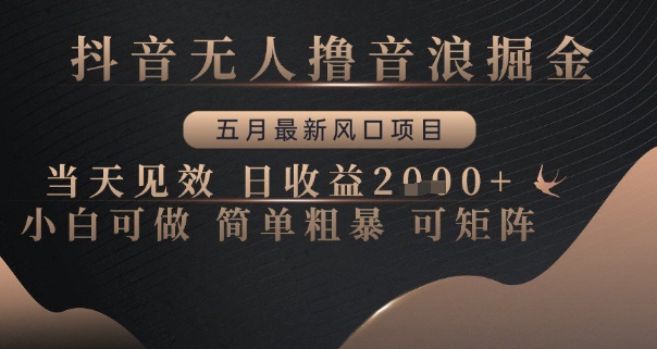 抖音无人撸音浪掘金，五月最新风口项目，当天见效，日收益多张，小白可做简单粗暴可矩阵【揭秘】-网创社