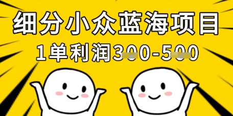 细分小众蓝海项目，一单利润3张，每月收入稳定过1w+-网创社