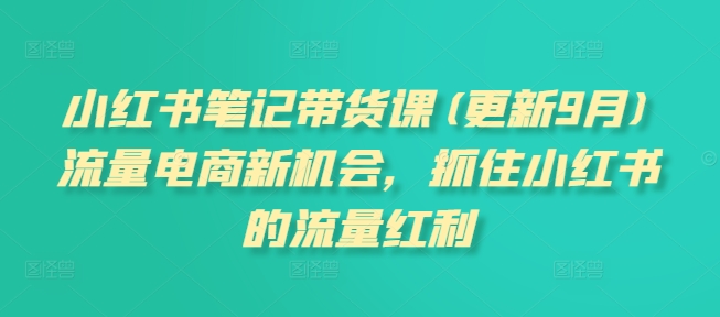 小红书笔记带货课(更新25年4月)流量电商新机会，抓住小红书的流量红利-网创社