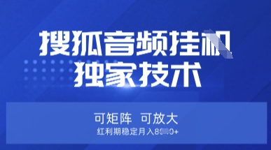 【搜狐音频挂G】独家技术，可矩阵可放大，红利期稳定月入8k【揭秘】-网创社