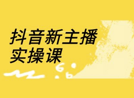 抖音新主播实操课，直播间流量运营线上实操课(18节)-网创社