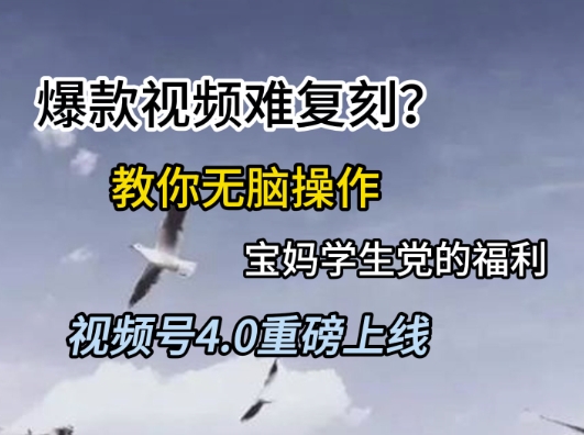 视频号4.0重磅上线，爆款视频难复刻？教你无脑操作宝妈学生党的福利【揭秘】-网创社