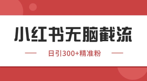 小红书只要你有同行就能获客，独家野路子获客玩法，暴力截流【揭秘】-网创社