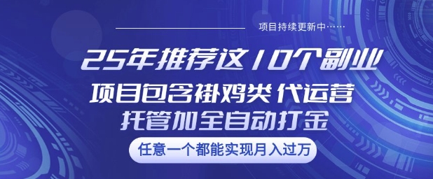 25年推荐这10个副业项目包含褂鸡类、代运营托管类、全自动打金类【揭秘】-网创社