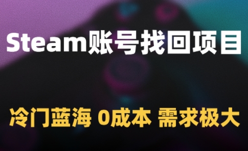 Steam账号找回项目，冷门蓝海，0成本，需求极大-网创社
