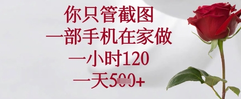 你只管截图，一部手机在家可以做，一小时120.一天5张+【揭秘】-网创社