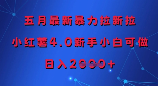 五月最新暴力拉新拉，小红薯4.0新手小白可做，日入多张-网创社