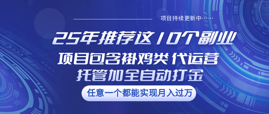 25年推荐这10个副业 项目包含褂鸡类、代运营托管类、全自动打金类-网创社