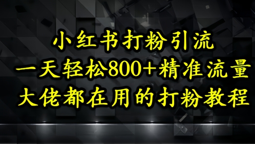 小红书打粉引流，一天轻松500+精准流量，大佬都在用的打粉教程-网创社