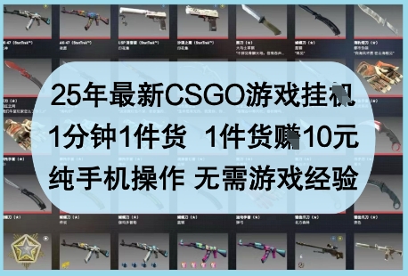 25年最新CSGO游戏挂G，1分钟1件货，1件货挣10元，纯手机操作，无需游戏经验【揭秘】-网创社