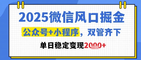 2025微信风口掘金，公众号+小程序双管齐下，单日稳定变现1k+【揭秘】-网创社