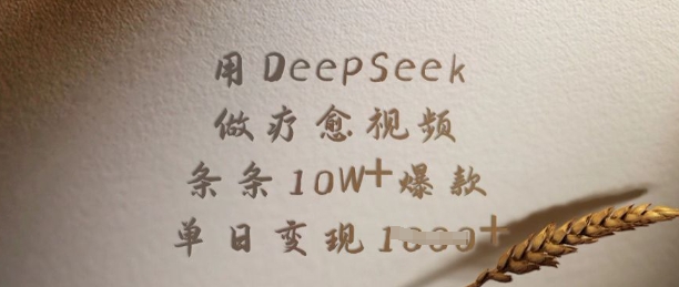 用DeepSeek做疗愈视频，条条10W+爆款，单日变现多张-网创社