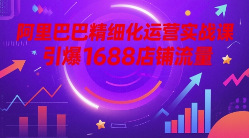 阿里巴巴精细化运营实战课，引爆1688店铺流量-网创社
