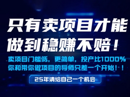 只有卖项目才能做到稳挣不赔，门槛低，更简单，你也可以年入百个W【揭秘】-网创社