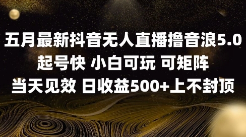 2025五月最新无人直播撸音浪单日产出5张+实操教程【揭秘】-网创社