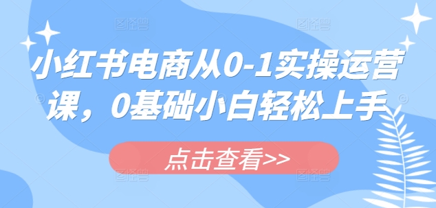 小红书电商从0-1实操运营课，0基础小白轻松上手-网创社