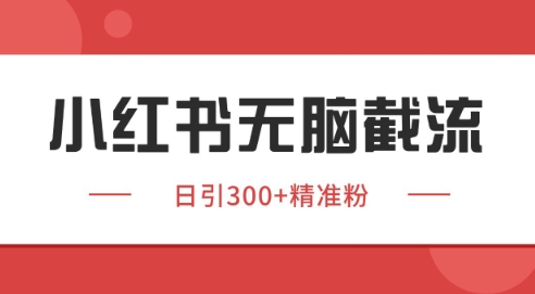 小红书截流同行客源，独家野路子获客玩法 日引200+暴力获客【揭秘】-网创社