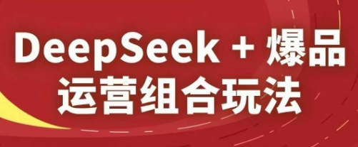 DeepSeek+爆品运营组合玩法，2025淘系精品课-网创社