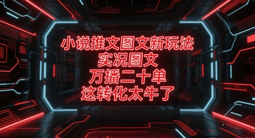 小说推文图文新玩法，实况图文，万播二十单，这转化太牛了！-网创社